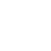 ActivePlay